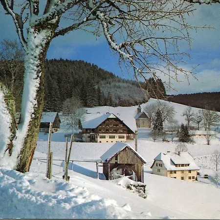 Tannzapfenland *